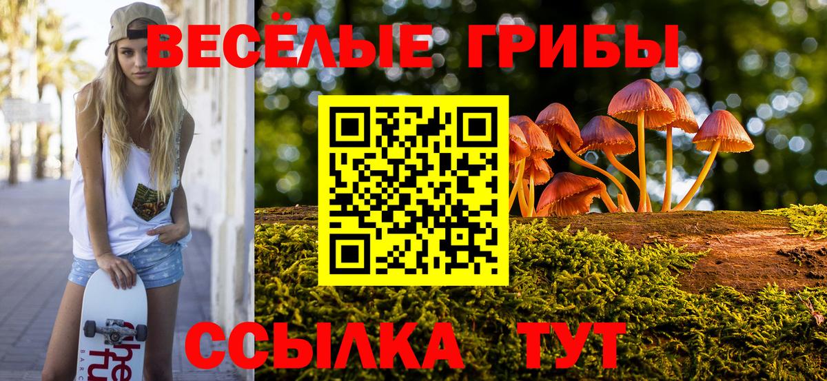 Галлюциногенные грибы Psilocybe Волжск