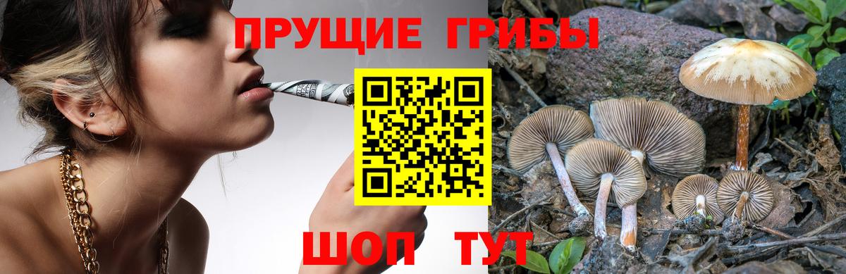 Галлюциногенные грибы Magic Shrooms  Вход с VPN  Галлюциногенные грибы Psilocybe  Волжск 